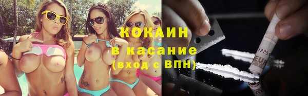 СК Зерноград