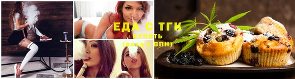 СК Зерноград