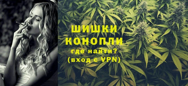 СК Зерноград