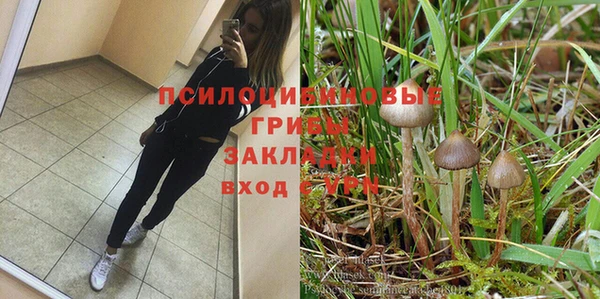 мет Зеленодольск