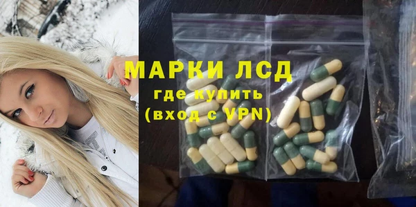 СК Зерноград