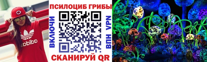 Псилоцибиновые грибы мухоморы  Купить где  Высоцк 